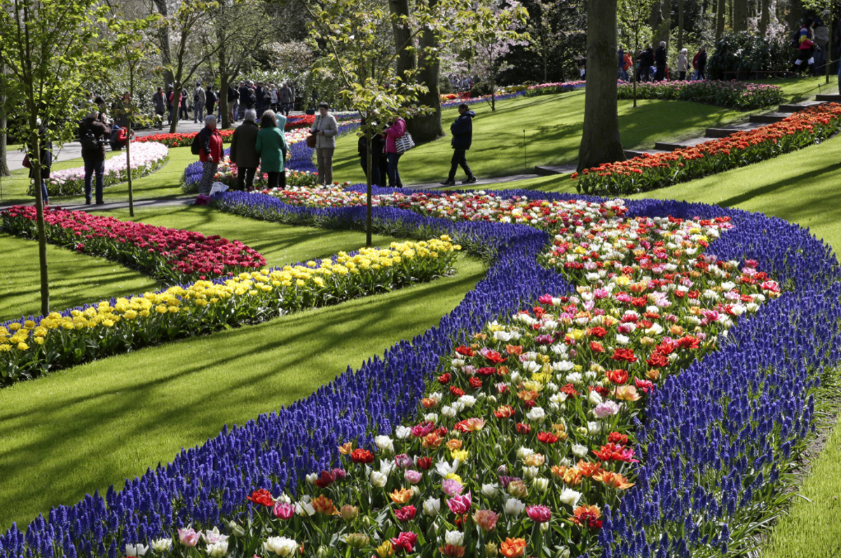 Keukenhof  – Zahrada holandských tulipánů